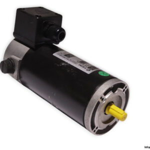 tem-PML30170309M-dc-electric-motor-(new)
