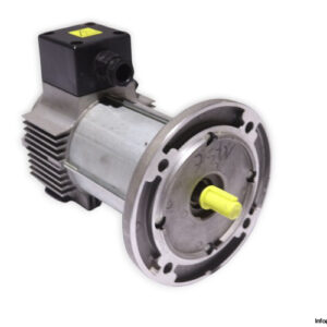 tem-Q3S20120409M-dc-electric-motor-(new)