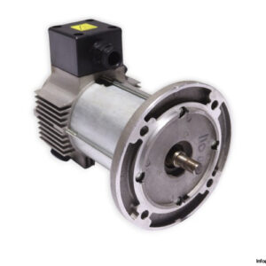 tem-Q3S30120409M-dc-electric-motor-(new)