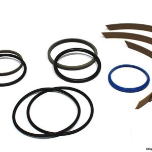 100037480-seal-kit