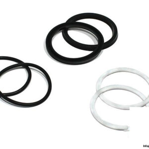 parker-PK252HLL01-piston-seal-kit