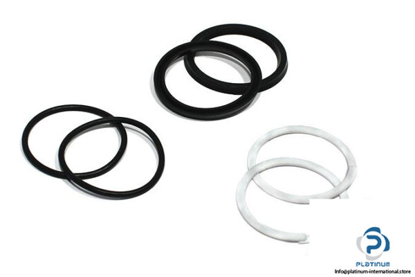 parker-PK252HLL01-piston-seal-kit