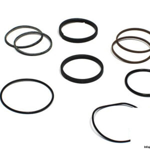 parker-KS25VH001-piston-seal-kit