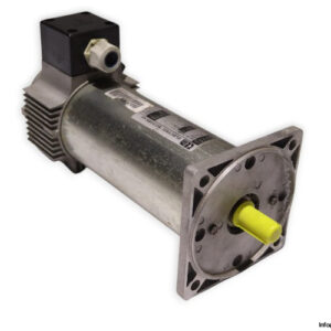 tem-Q4L30170209M-dc-electric-motor-(used)