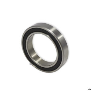 bearings-image-006