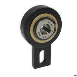 c.t.s-GV-20-freewheel-clutch-bearing-(new)