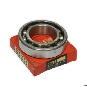 flt-6006-deep-groove-ball-bearing-(new)-carton