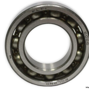 flt-6006-deep-groove-ball-bearing-(new)-carton-1