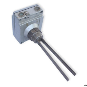 endress-hauser-NIVOCOMPACT-FTM-230-vibrating-level-limit-switch-(Used)