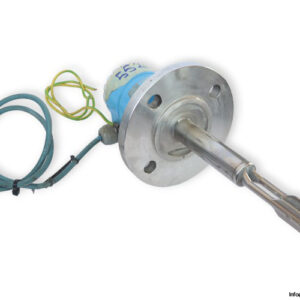 endress-hauser-LIQUIPHANT-II-FDL-31-FFG2AD7R-0220-vibration-level-limit-switch-(Used)