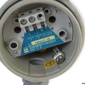 endress-hauser-SOLIPHANT-DM-91Z-UZ1PFK11-0600-vibration-level-limit-switch-(Used)-1