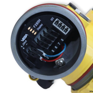 vega-FX62.XXAGD1VDMXX-level-sensor-(Used)-2