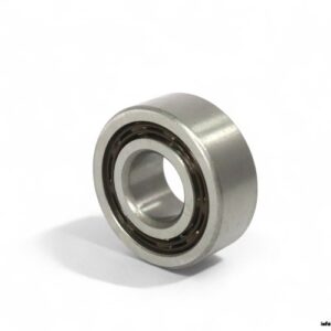 isb-4204-ATN9-double-row-deep-groove-ball-bearing-(new)-1