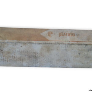 pizzato-FD-225-position-switch-with-coil-spring-(New)-1