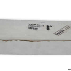 pizzato-NG-2D5D411A-F31-safety-lock-switch-(New)-1