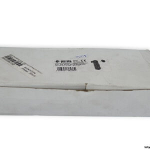 pizzato-NG-2D7E411A-F31K110-safety-lock-switch-(New)-1