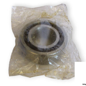 bearings-image-006