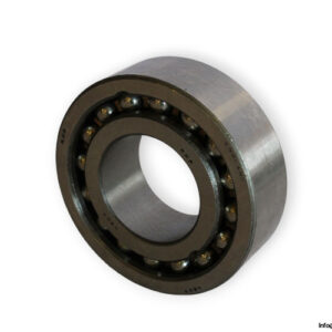 bearings-image-006