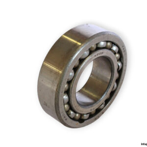bearings-image-006