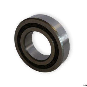 bearings-image-006
