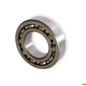 bearings-image-006