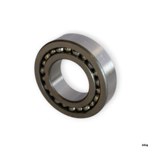 bearings-image-006