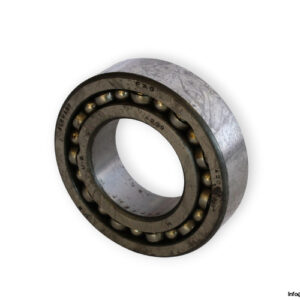 bearings-image-006