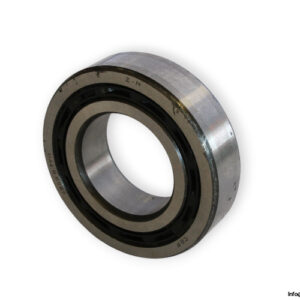 bearings-image-006