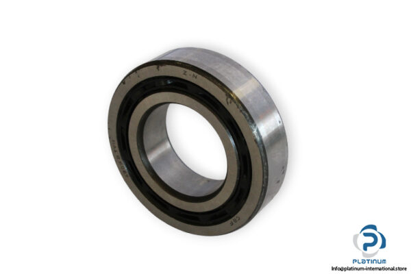 bearings-image-006