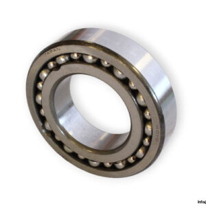 bearings-image-006