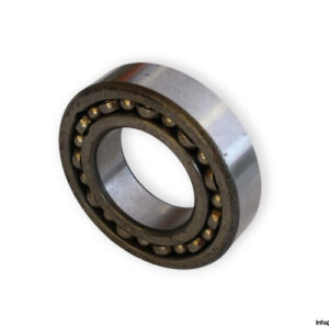 bearings-image-006