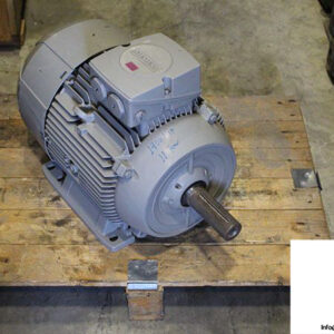 siemens-1le10011db222ab4-3-phase-electric-motor-1