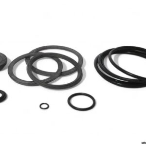 gea-221-304.14-seal-set(new)