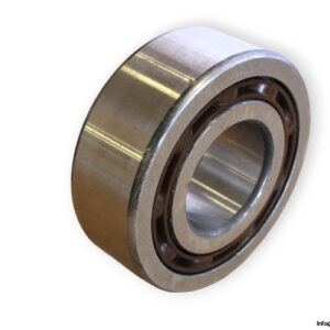 bearings-image-006