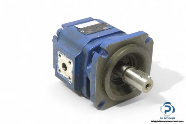rexroth-R900949135-internal-gear-pump(used)