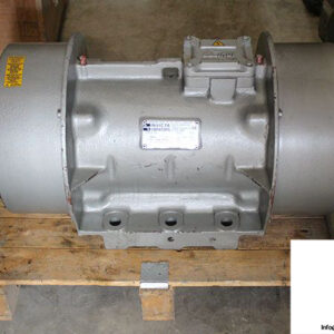 invicta-BL50-60_6_RP_208973-electric-vibrator