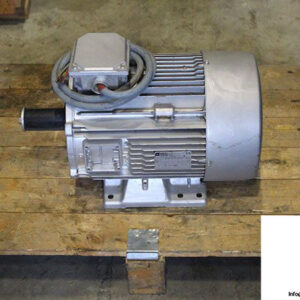 leroy-somer-HTAH132M-3-phase-electric-motor