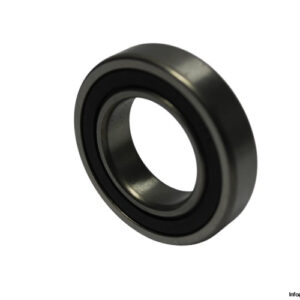 R20-2RS-deep-groove-ball-bearing-new