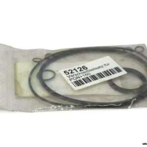 schunk-DSA-PGN-160-seal-kit-(New)