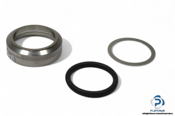 burgmann-201009172-seal-kit-(New)