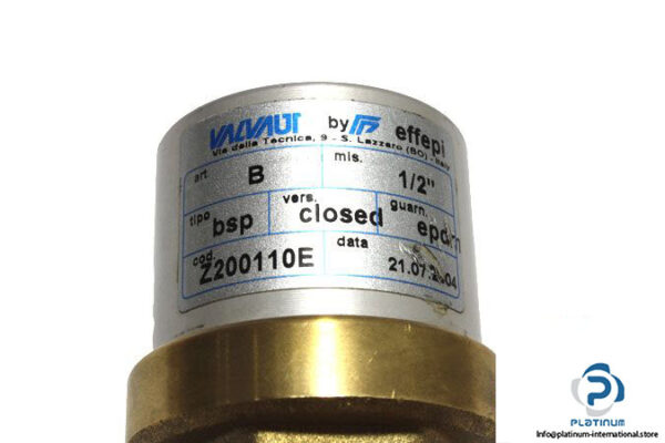 valvaut-z200110e-pneumatic-valve-3