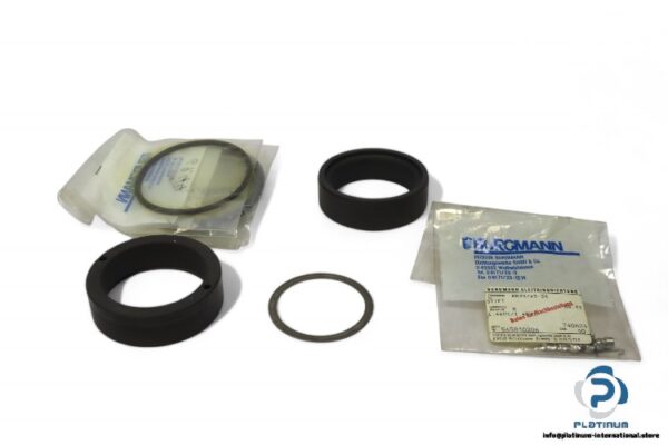 burgmann-201009192-seal-kit-(New)