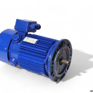 bonfiglioli-BC-310-dc-motor(new)