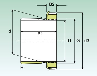 isb-H-2307-adapter-sleeve-new-carton-3
