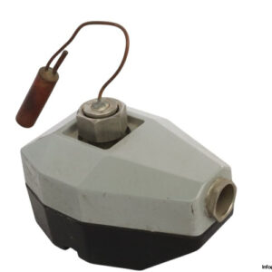 lederle-hermetic-T-30.1-thermostat-(used)