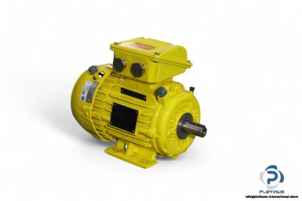 weg-L90S-02-3-phase-electric-motor(new)