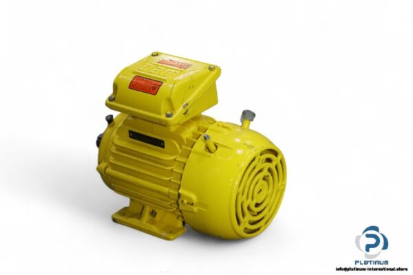 weg-L90S-02-3-phase-electric-motor(new)-1