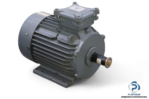 leroy-somer-FLSN132S-T-3-phase-electric-motor(new)