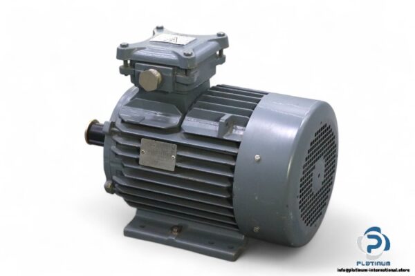 leroy-somer-FLSN132S-T-3-phase-electric-motor(new)-1