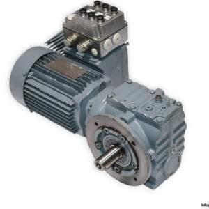 sew-SF47DT80N4_MM07_MFP_BW1-helical-worm-gearmotor(used)